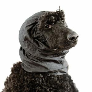 Show Tech Snood Luxe öronskydd för hund. Storlek large, svart. Skyddar öronen och pälsen kring nacken.