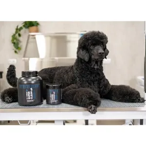 Show Tech Super Clean 40, djuprengörande högkoncentrerat schampo för hund och katt. 4,5 liter.