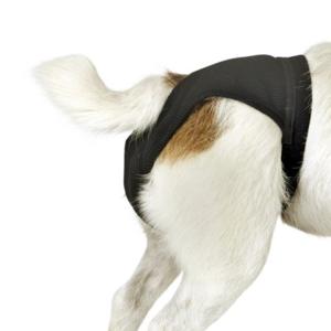 Svart tikskydd i elastisk bomull, resårband runt magen