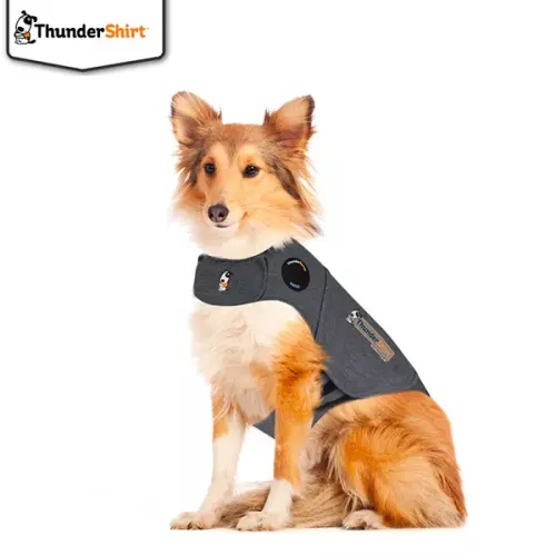 Thundershirt lugnande hundtröja