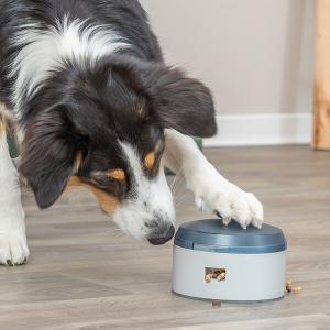 Trixie Dog Activity Buzzer aktivitetsspel för hund, nivå 1