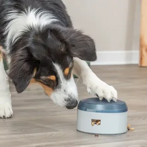 Trixie Dog Activity Buzzer aktivitetsspel för hund, nivå 1