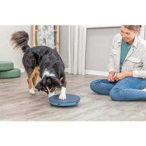 Trixie Dog Activity Rocking Maze aktivitetsspel för hund, nivå 1