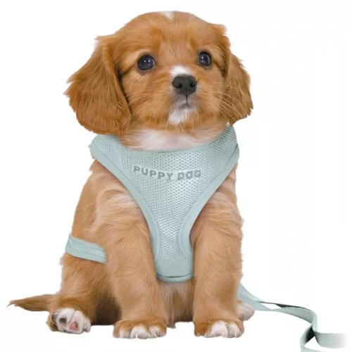 Trixie Junior Valpsele Soft med koppel mintgrön - M-L