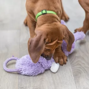 Trixie Junior Kanin lila plysch med prasselljud - hundleksak