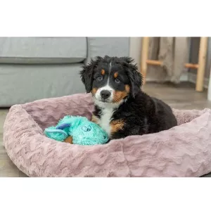 Trixie Junior Nalle turkos plysch med prasselljud - hundleksak