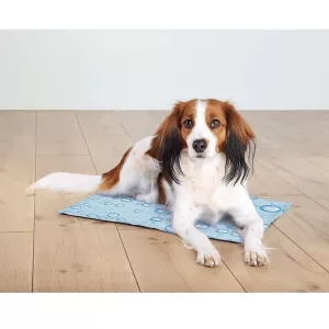 Trixie Kyldyna ljusblå med mönster - 40x30 cm