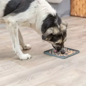 Trixie Lick'n'snack aktiveringplatta för hund. Aktiveringsplatta i grå silikon 20x20 cm.