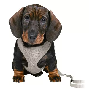 Trixie Junior Valpsele Soft med koppel ljusgrå - S-M