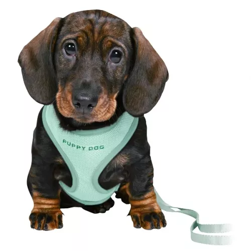 Trixie Junior Valpsele Soft med koppel mintgrön - S-M