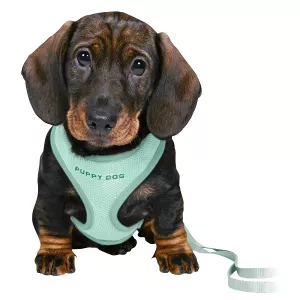 Trixie Junior Valpsele Soft med koppel mintgrön - S-M