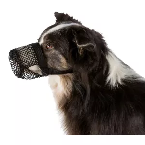 Trixie Munkorg- skyddskorg mot förgiftning