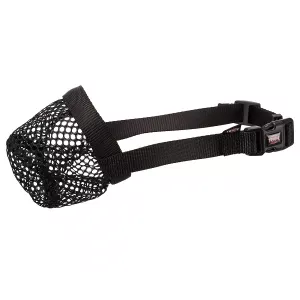 Trixie Munkorg- skyddskorg mot förgiftning