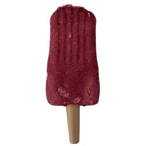 Trixie snack ice pop red glassformat hundtugg med kyckling, ca 50 gram