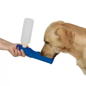 Vattenflaska med blå drickskål