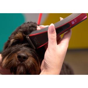 Wahl Trimmer Bravura 2 - lila/svart