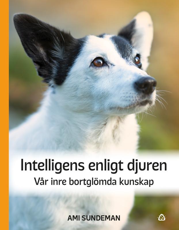 Intelligens enligt djuren