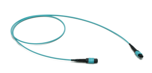 MPO-MPO 12 Fiber Patchkabel