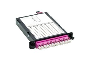 M4 MPO Kassett/halv P&P 12 Fiber LC 1x12F MPO