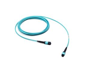 MPO-MPO 24 Fiber Patchkabel