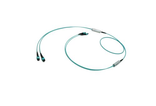 2x12F MPO - 2x12 MPO 24 Fiber Trunkkabel