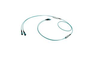 2x12F MPO - 2x12 MPO 24 Fiber Trunkkabel