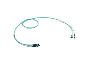 3x24F MPO - 3x24F MPO 72 Fiber Trunkkabel