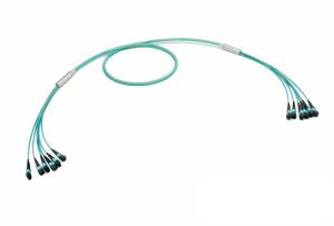 6x24F MPO - 6x24 MPO 144 Fiber Trunkkabel