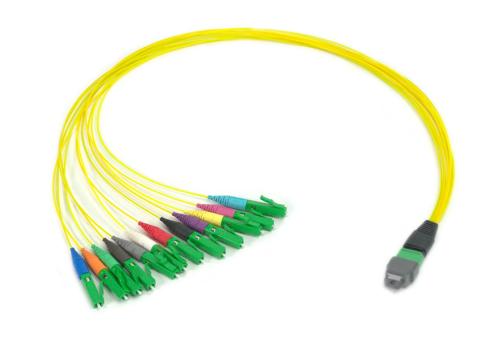 MPO Fanout Direct-split 12-24F