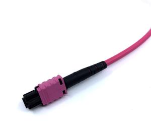 MPO-MPO 24 fiber Trunkkabel