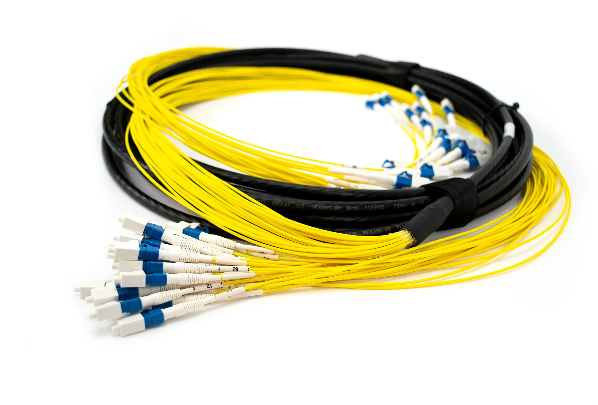 Fiber