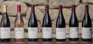 Blandad Vinlåda - Upptäck Domaine Saladin 6 fl. (rött, vitt)