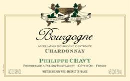 Domaine Philippe Chavy - Bourgogne Chardonnay 2020 (vitt)
