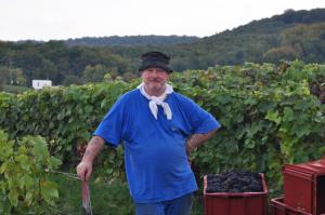 Blandad Vinlåda -  "Surprise-moi"...(överraska mig)