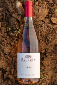 Domaine Saladin - Tralala 2024 (rosé)