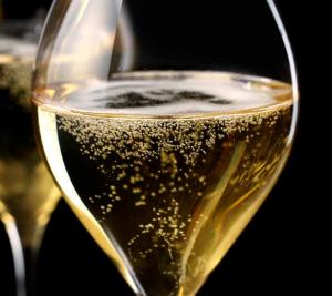 Château Saint Martin de la Garrigue - Mousseaux blanc (mousserande)