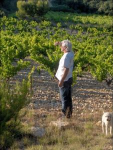 Blandad vinlåda - Upptäck Domaine Richaud (6 flaskor rött/vitt)