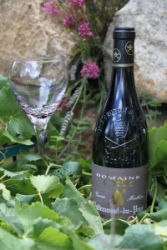 Domaine le Pointu - Châteauneuf du Pape Cuvée Mathieu 2019 (rött)