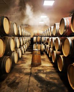 Blandad Vinlåda - Upptäck Paradella (6 flaskor rött/vitt)