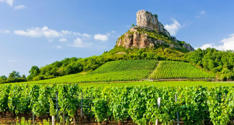 Blandad Vinlåda - Upptäck Pouilly Fuissé (vitt/mousserande)