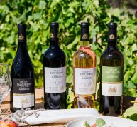 Blandad Vinlåda - Upptäck Château Saint Martin de la Garrigue (rött/vitt/rosé/mousserande)