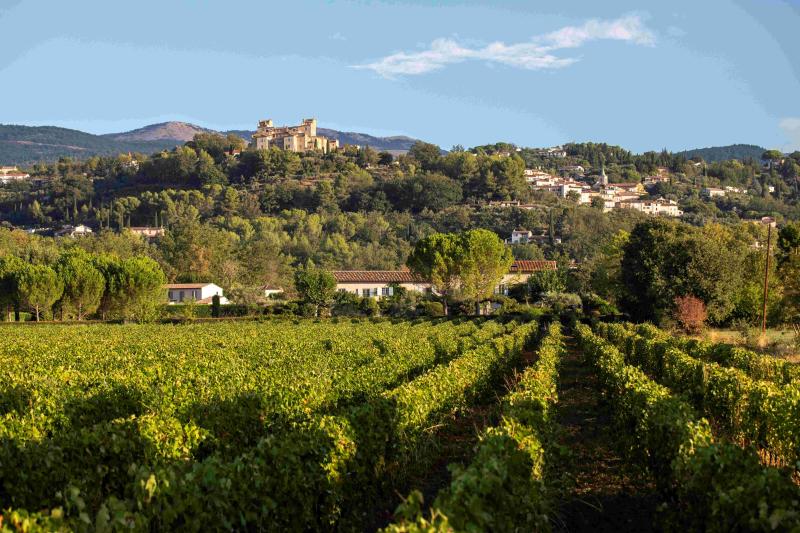 Blandad Vinlåda - "La Cave Magnifique", en dröm...