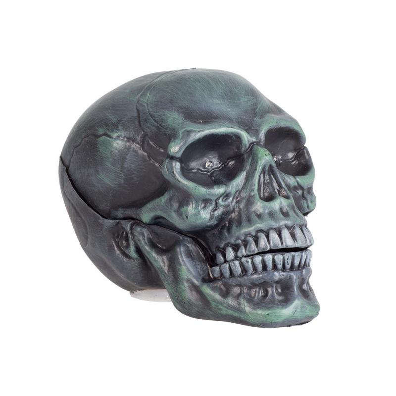 LAUGHING SCULL