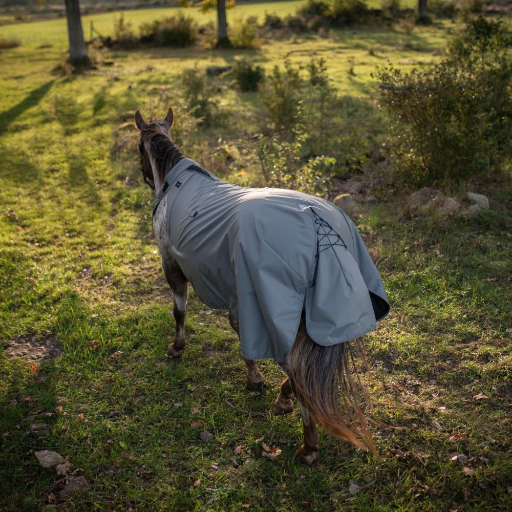 En häst sett uppifrån, klädd i ett Freelayer-täcke, demonstrerar den innovativa och hållbara designen som ger optimal rörelsefrihet.