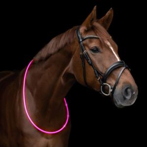 HALSRING LED REFLEX