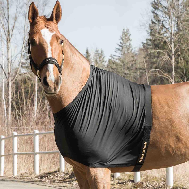 Back on Track Bogskydd Light