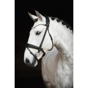 Träns Lippo Caselle rundsytt