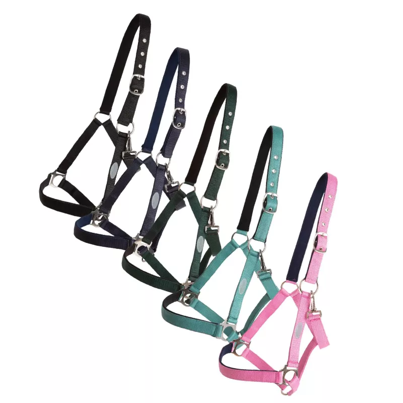 Grimma Horse uniqe basic