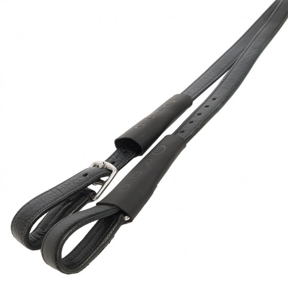 STIGLÄDER DRESSYR ORDO