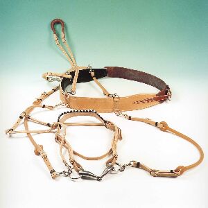 Racing Tack inkörningssele